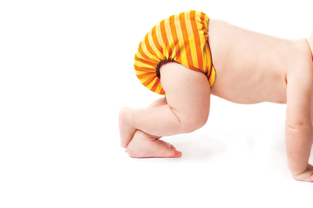 The Various Cloth Diaper Options, Compared