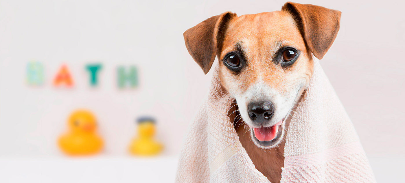 SmarterFresh Pet Faucet Sprayer Set, Pet Bath Spray Dog Shower for