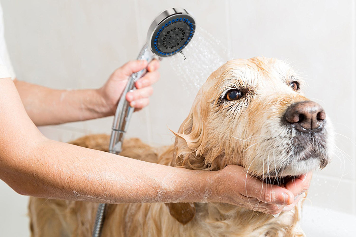Ownpets Pet Shower Sprayer, Dog Combing Shower Sprayer with Hose & Diverter  for Dogs & Cats, Ideal Pet Bath Brush Sprayer Set for Indoor, Outdoor